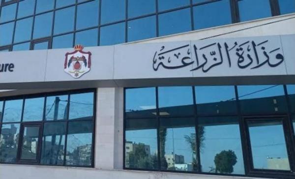 الزراعة: تعويض 320 مزارعا متضررا من السيول بـ 200 الف دينار