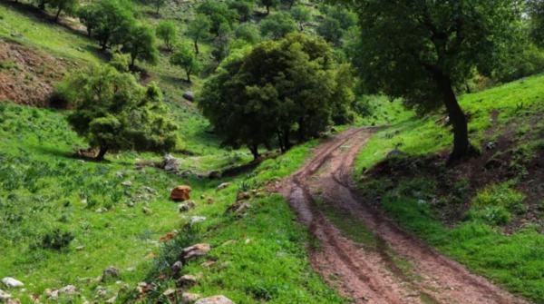 عجلون: دعوات لاستحداث مسارات سياحية زراعية لغايات الاستثمار والتنمية