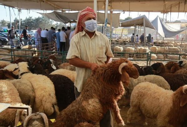 الزراعة النيابية تتوقع انخفاض أسعار الاضاحي وتدعو لعدم الالتفات للشائعات