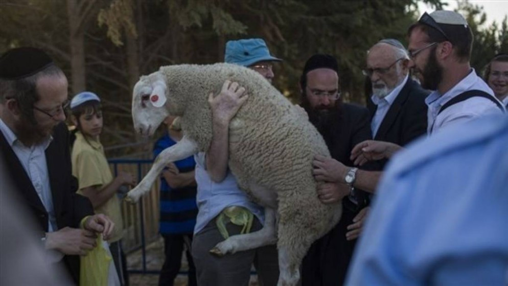 محافظة القدس تحذّر من محاولات إدخال القرابين إلى المسجد الأقصى