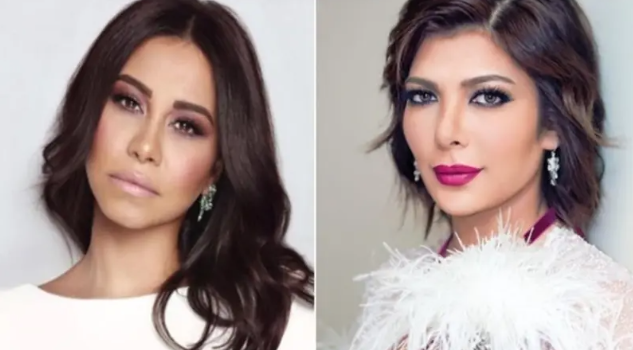 من شيرين لأصالة ..  فنانون يتفاعلون مع قرار مصر دعم السعودية