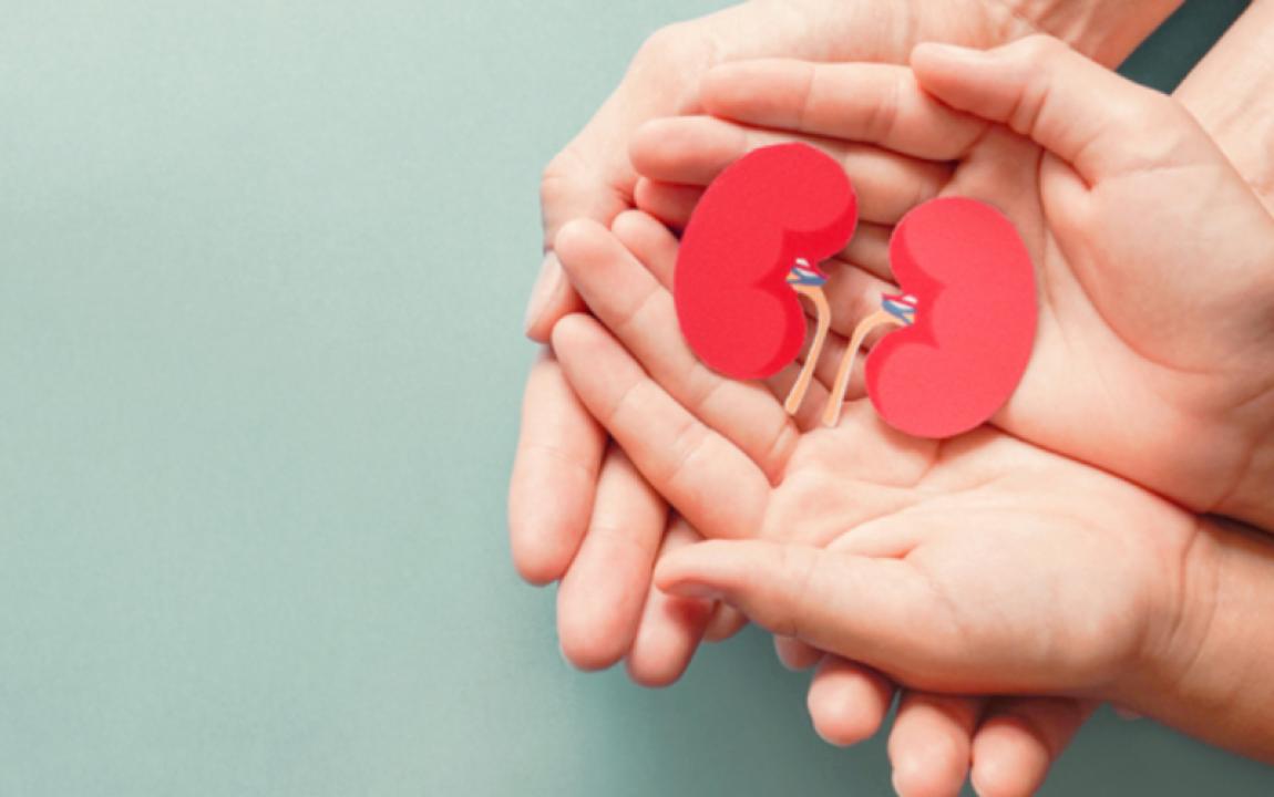 29 ألف شخص سجّلوا للتبرع بالأعضاء عبر "سند"