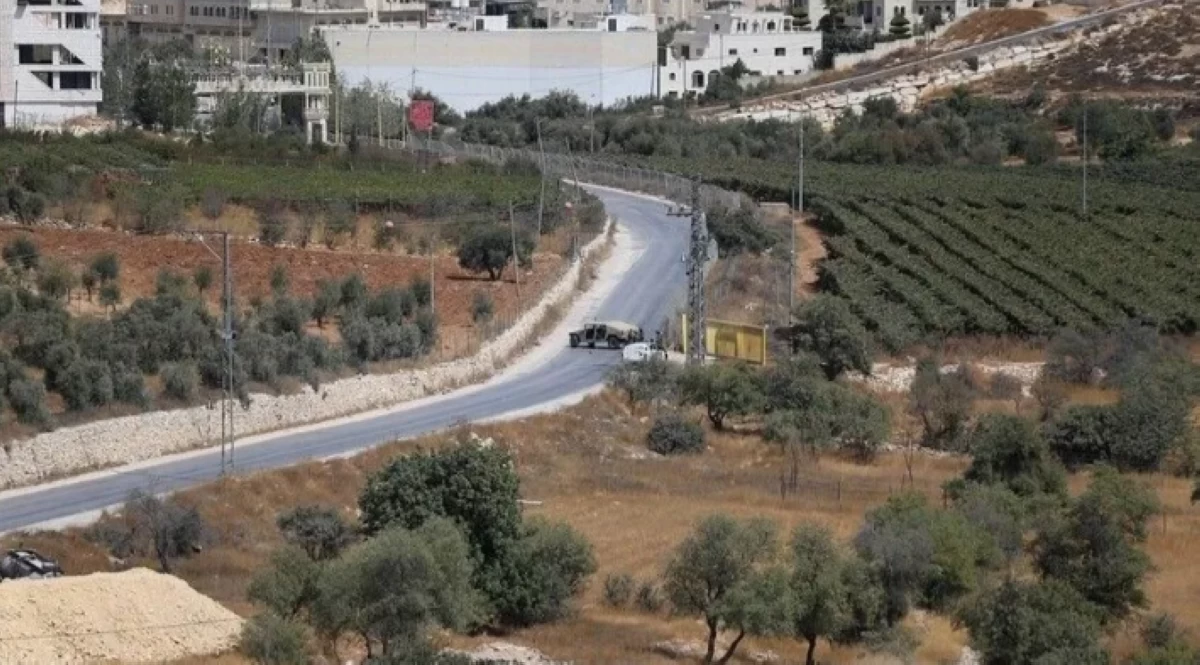 إرهاب المستوطنين يطال موسم الزيتون في 6 محافظات خلال 12 ساعة في الضفة الغربية