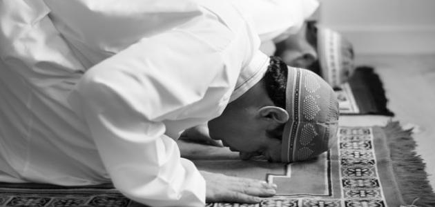 حُكمُ مَن ترَكَ أو نَسيَ رُكنًا من أرْكانِ الصلاةِ