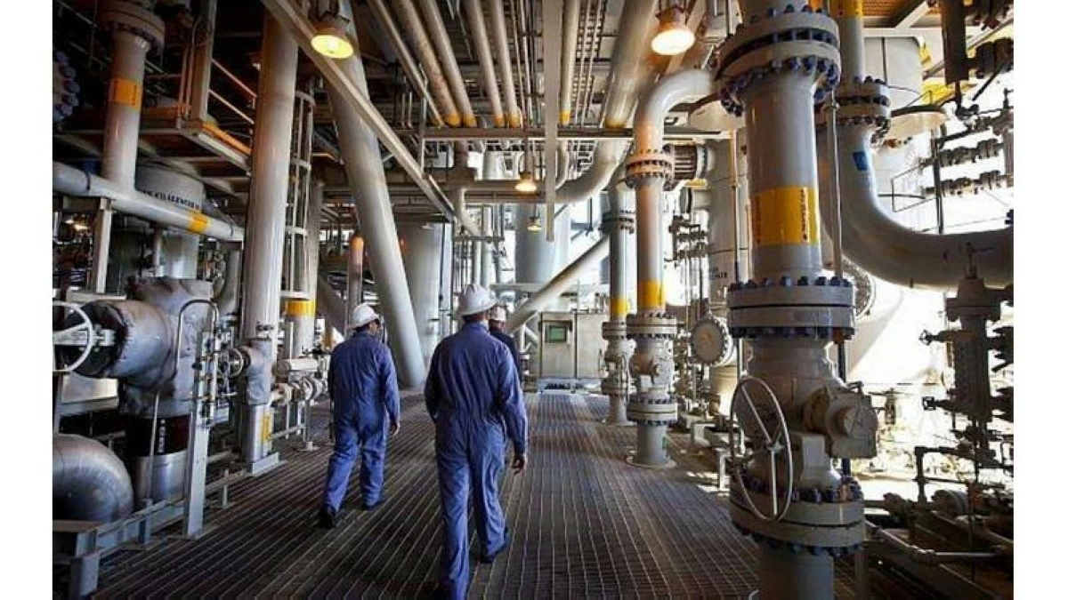 56 ألف فرصة عمل جديدة في القطاع الصناعي منذ 2022