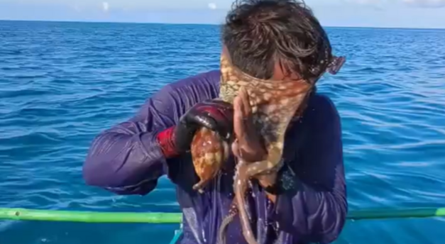 أخطبوط يلتصق بوجه صياد ..  والمشهد يشعل مواقع التواصل