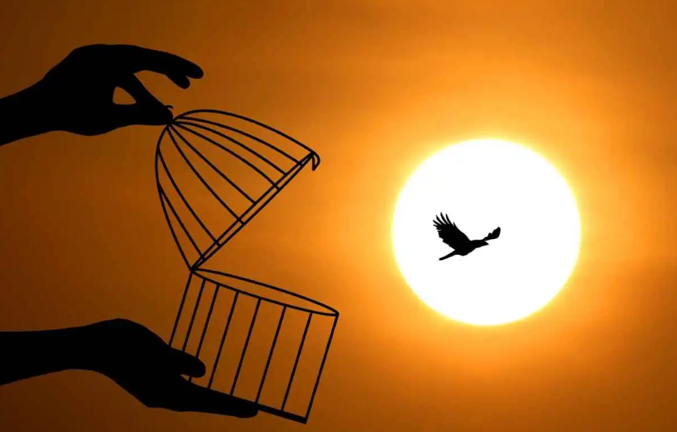 ما معنى رؤية إطلاق عصفور من القفص؟
