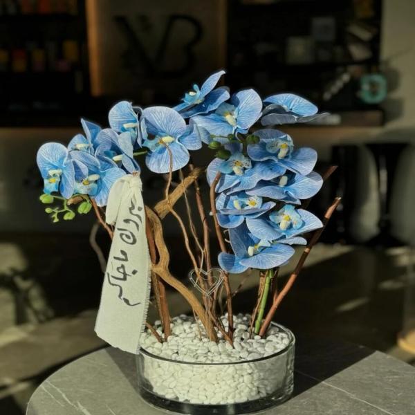 المحامي أحمد الخياط ..  مبارك قدوم الحفيد