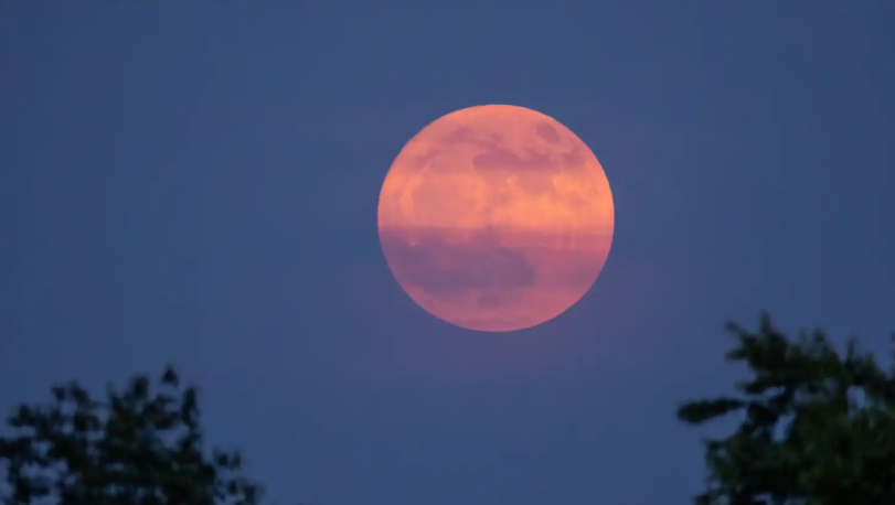 ماذا نعرف عن Strawberry Moon؟ أول قمر مكتمل في صيف 2026
