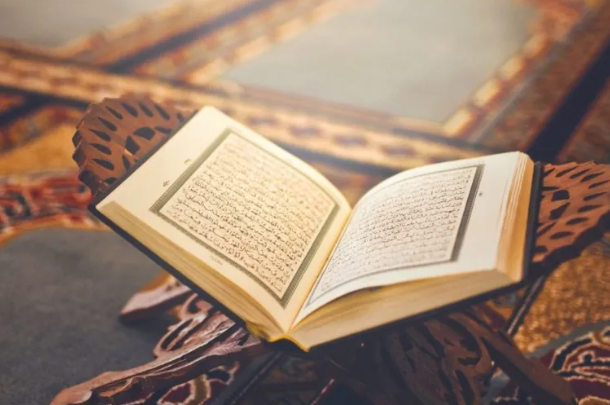 القرآن وخلق الإنسان