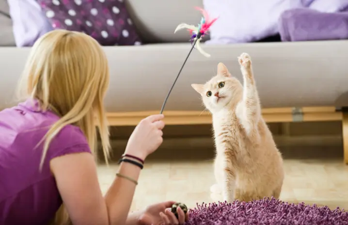 كيف تحولت الكلاب والقطط إلى أداة لدعم الصحة النفسية؟