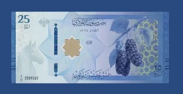 سوريا تودع الليرة القديمة  ..  ماذا حدث في 7 أشهر؟