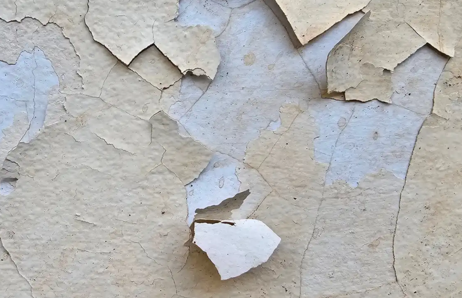تفسير حلم تقشر حيطان المنزل وعلاقته بكشف الحقائق