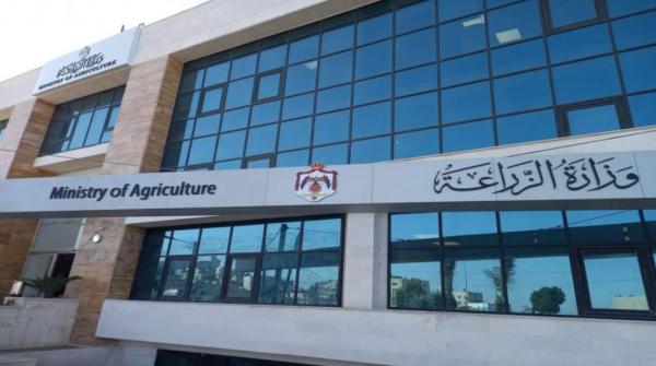 الزراعة: تعليق توريد الحبوب لصوامع الشمال الأربعاء المقبل