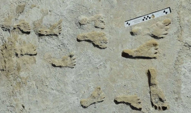 اكتشاف يهز الآثار ..  خطوات في الطين تكشف سراً عمره 23 ألف سنة 